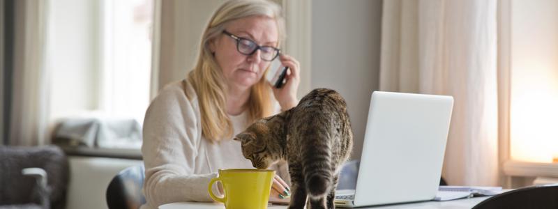 Kontakta din rådgivare