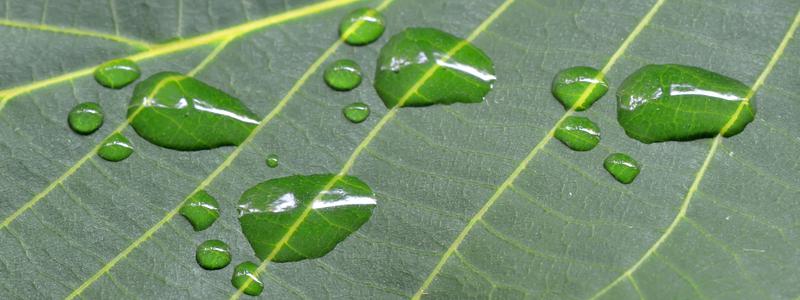 Mål inom klimat, miljö och energi