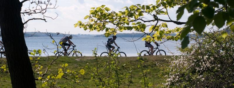 Uppföljning av energipolitiska mål