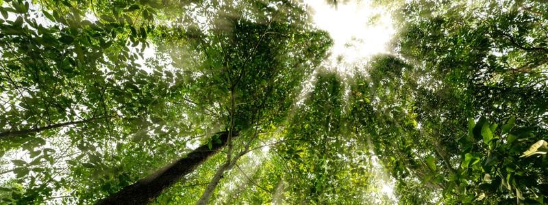 Research and reports